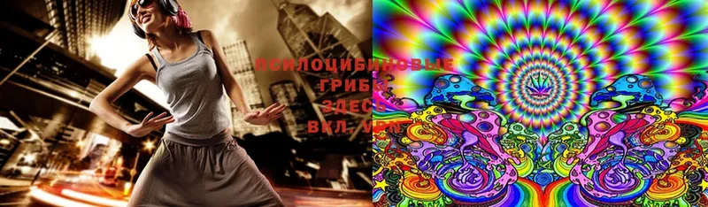 блэк спрут как войти  Демидов  Галлюциногенные грибы Cubensis 